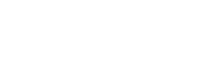 JISSE-19